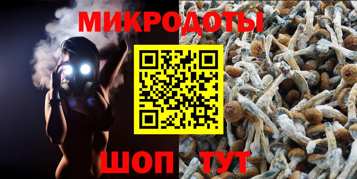 Галлюциногенные грибы GOLDEN TEACHER  Псилоцибиновые грибы мухоморы  Вход с VPN  Владивосток 